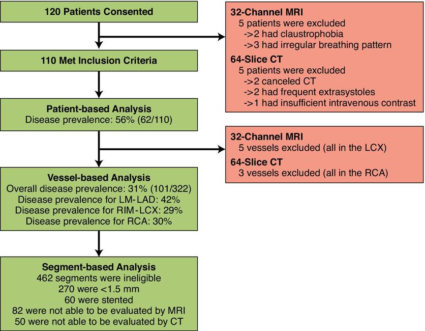 54 JACC: CARDIOVASCULAR IMAGING, VOL. 4, NO. 1, 2011 Figure 3. Composition of Study Population Flow chart of the study population, coronary artery disease prevalence, and excluded coronary segments.