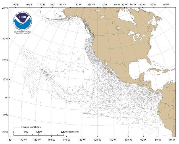 Species Data 1986 2005 400,000 km surveyed 17,000 cetacean sightings