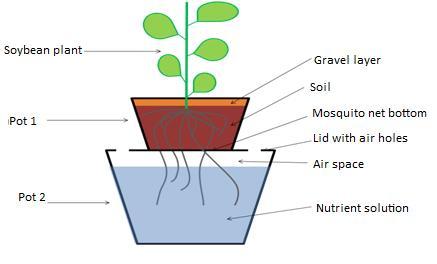 Materials and Methods Experimental Design: the double pot technique For rapid identification of the nutrients that are in short supply in the soil, the double-pot technique has been developed by