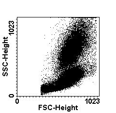 T-cell depletion: positive selection versus negative depletion CD34+ positive selection CD3/19 depletion Gordon et al.