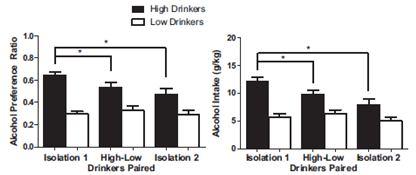 In alcohol studies with prairie voles a social facilitated alcohol intake was found, where the voles prefer alcohol over water when housed with a sibling.