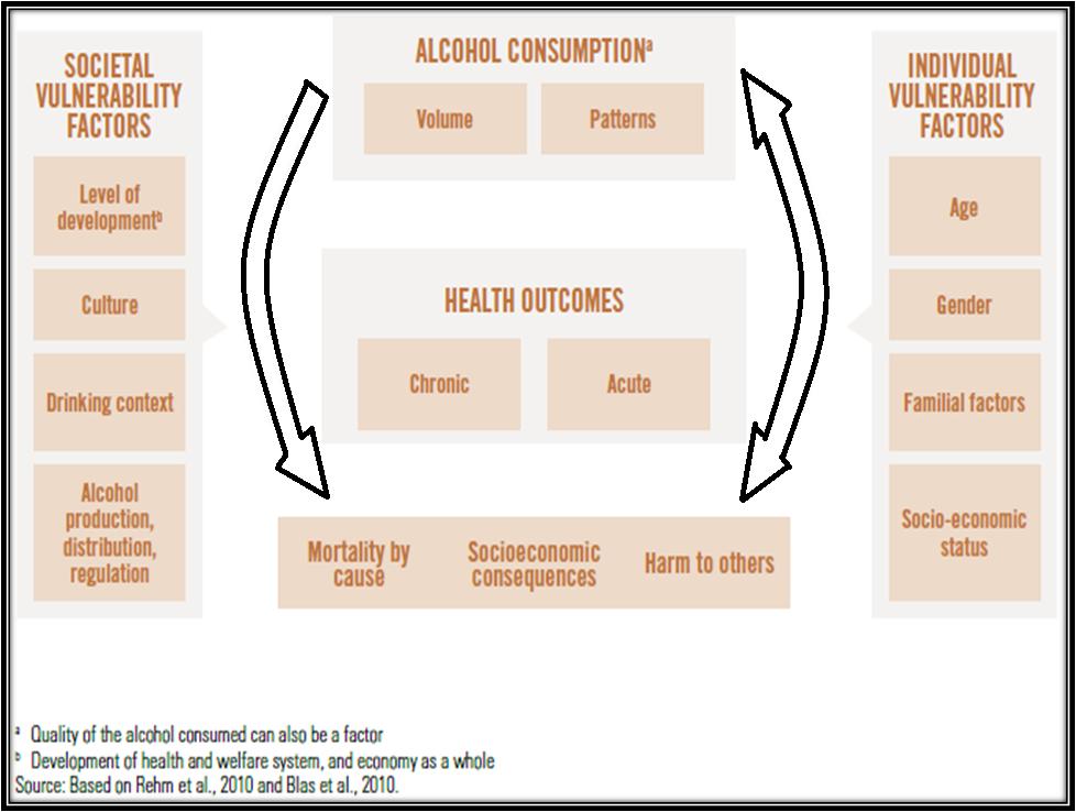 Conceptual causal model of alcohol