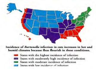 moderate incidence of infection States with low incidence