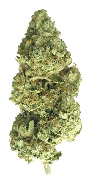 GG4OG GG4OG is potent indica dominant hybrid strain that delivers heavy-handed euphoria and relaxation, leaving you feeling glued to the couch.
