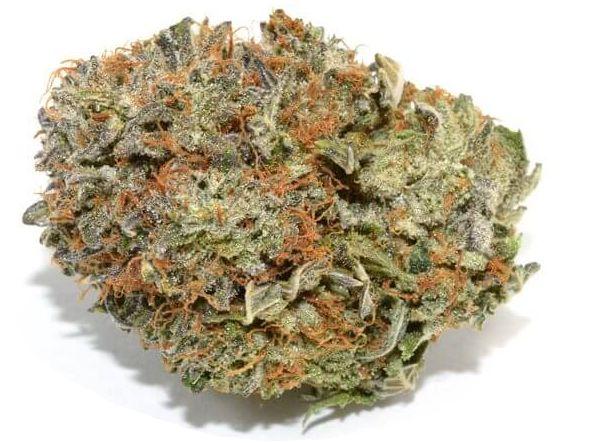 KING S KUSH King's Kush is famous for its potency and shiny