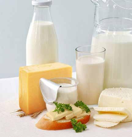 Whole milk and whole milk products provide energy and are high in protein and calcium which can contribute to maintaining muscles and bones as we age.