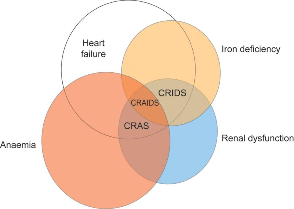The interaction between heart failure, renal dysfunction, anaemia, and
