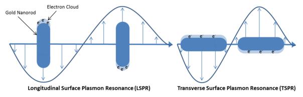 Photothermal Therapy (PTT) 15 - Thermal transducers are absorb specific wavelength of light (usually NIR)