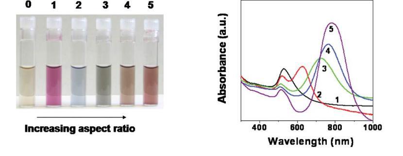 kills the targeted cells - Thermal transducers : Gold nanoparticles (AuNP), graphene oxide (GO),