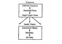 + Exposure Assessment Determines Dose External Dose Internal Dose (amount absorbed into body)