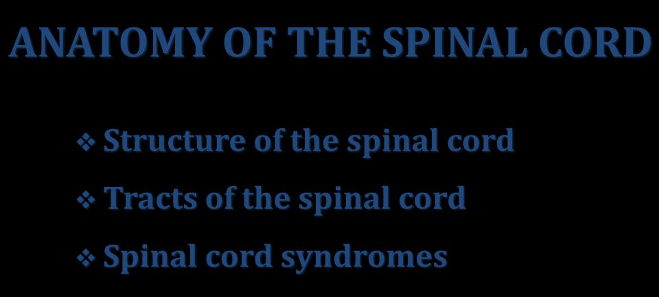 ANATOMY OF THE SPINAL CORD Structure of the spinal