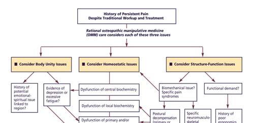 SYMPATHETIC NERVOUS SYSTEM Acute Pain: Central: suppresses sensation of pain