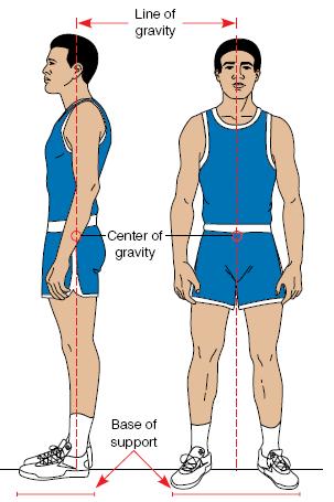 Four Basic Elements of Normal Movement Body alignment (posture)