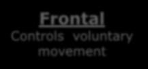 involuntary movement & touch Temporal