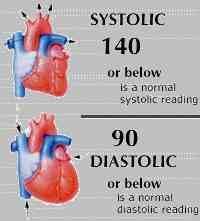Blood Pressure The minimal SBP required to maintain perfusion varies with the