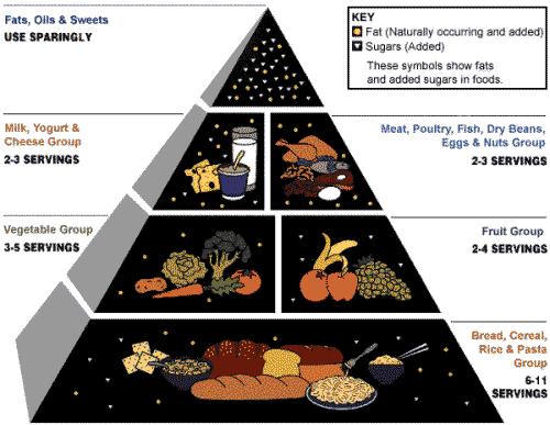 U.S. Food Pyramids