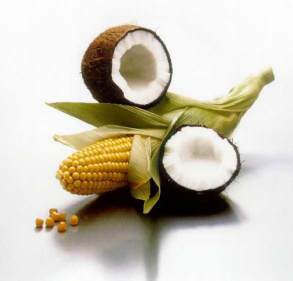 Manufacturing APG surfactants coconut, palm Cognis is a world leader in APG production corn, potato, wheat coconut