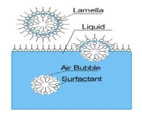 Surfactant and foam Foams are colloidal systems in which the dispersed phase is a gas and the continuous phase is a liquid.