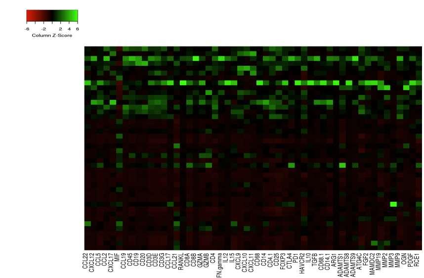 MSI-high EBV Gene expression of immune response and ECM degradation EBV