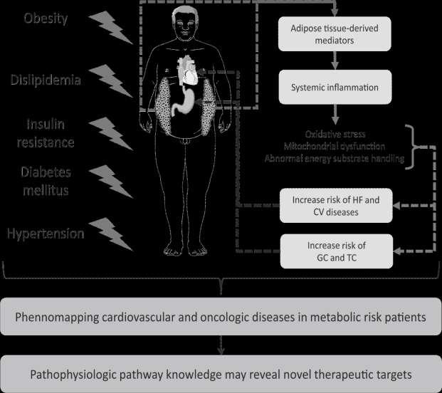Background Cancer and CV disease are the main causes of mortality in Western societies, posing a major threat to healthy aging and an unbearable burden to health care systems Metabolic risk (obesity