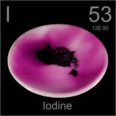 Iodine and the Thyroid 75% of the body s iodine is used for thyroid hormone production Iodine is 65% of T 4 's weight, and 58% of T 3 's RDA for iodine is 150 mcg daily Normal iodine