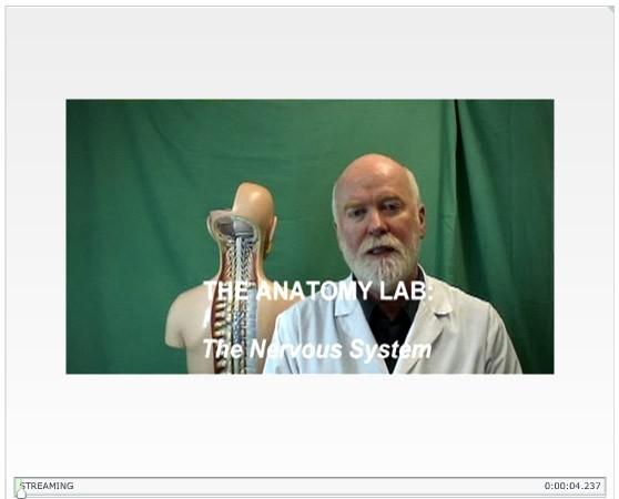 Activity 1: Cadaver Video: The Nervous System Navigation: WileyPlus > Read, Study, and Practice > Chapter 14: The Brain and Cranial Nerves > See > Cadaver Video: The Nervous System/Brain (25:50) 1.