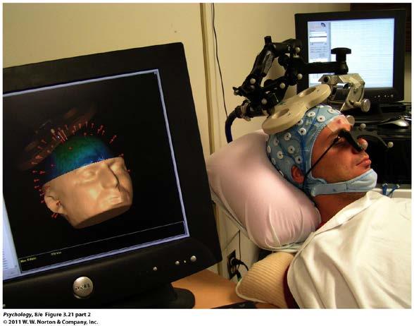 cells) Trans-Cranial Magnetic Stimulation (TMS) Magnetic pulses disrupt function of