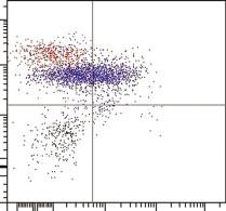 40 CHAPTER 4 WORKED EXAMPLE 4.1 Illustrated below are a series of plots from a bone marrow analysis of a patient with a residual population of common ALL blasts alongside haematogones.
