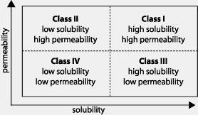 Further supports that permeability has a more limited impact on variability than solubility.