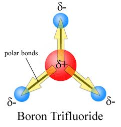What is a Polar Molecule?