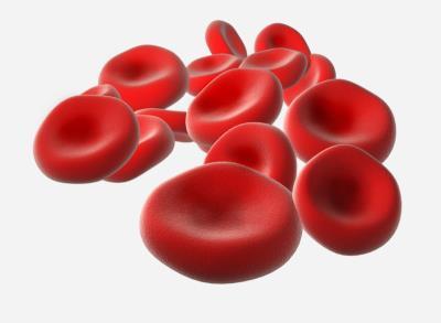 There are there types of blood cells: red blood cells, white blood cells, and platelets. All of them come from cells which are inside the red bone marrow, which is inside the bones of the skeleton.