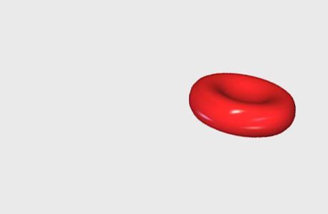 Red Blood Cells a biconcave disc that is round and flat without a nucleus contain haemoglobin, a molecule specially designed to hold oxygen