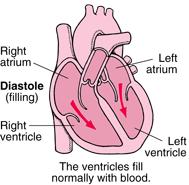 The Heartbeat Cycle FIRST: Right atrium receives blood without oxygen from the body Left atrium receives blood with