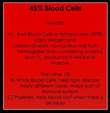 Composition of Blood 55% Plasma -Mainly 90-92 % water.