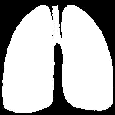 The largest volume of air that can be exchanged in the lungs is the vital capacity of the lungs.