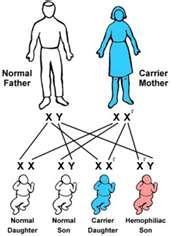 -Hereditary sex-linked transmitted genetically from mothers to sons Symptoms: