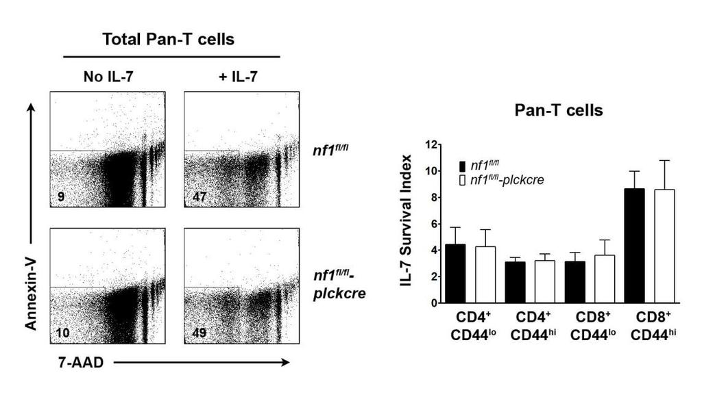 Figure 9. NF1-deficient peripheral T cells do not respond abnormally to IL-7. Left, representative dot plots of total pan-t cells from T cell KO and control mice.