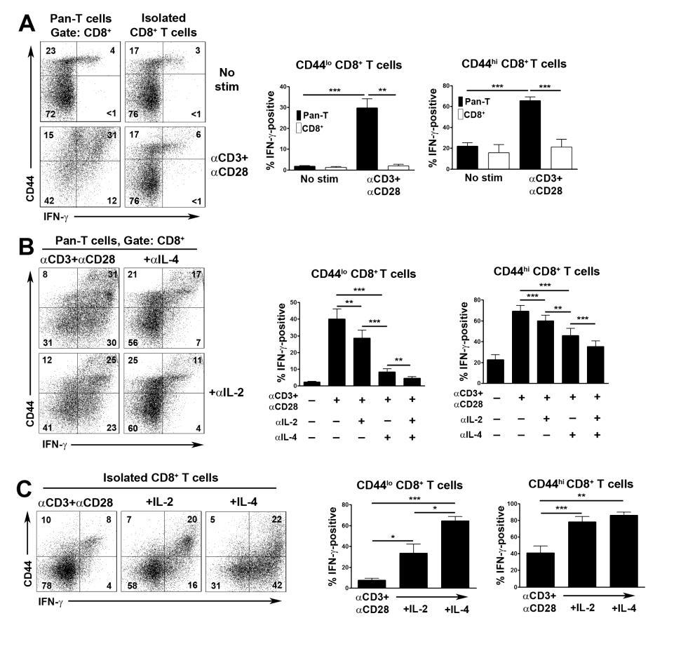 Figure 23. Role of IL-2 and IL-4 in induction of IFN- expression in CD8+ T cells. Experiments were performed with T cells from littermate C57BL/6 x 129 Sv (A-C) or C57BL/6 (D) mice.