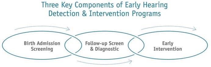 Early Hearing Detection & Intervention (EHDI) Program 1-3-6 National EHDI Goals All infants will receive a hearing screening before 1 month of age Infants not passing the screening will