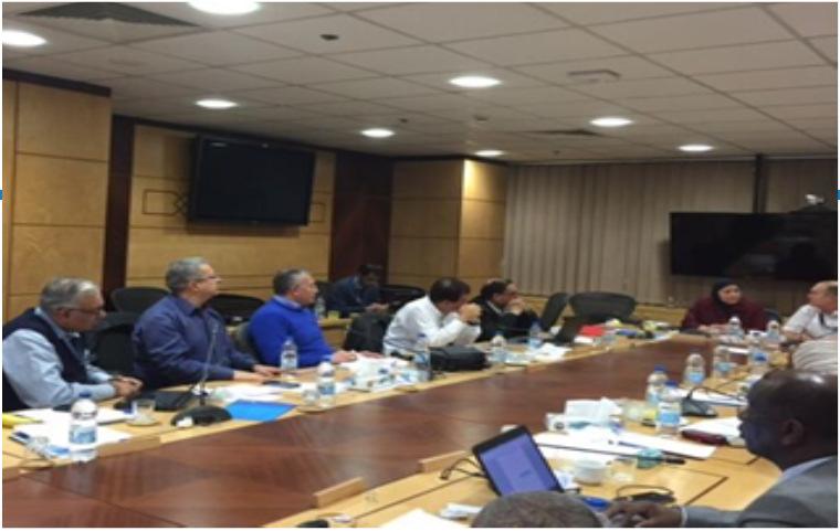 Vaccination in Humanitarian Emergencies: 2016 series of meetings Cairo, January 2016 Joint WHO HQ and EMRO meeting.