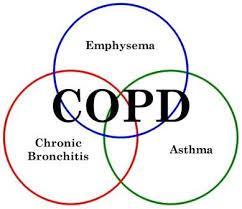 Learning Guide Chronic obstructive pulmonary disease (COPD) 28550 Support