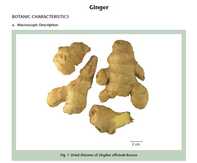 Ginger monograph in USP