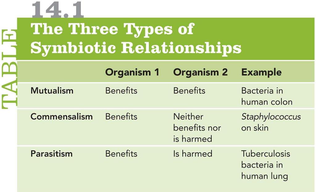 Symbiotic Relationships Between