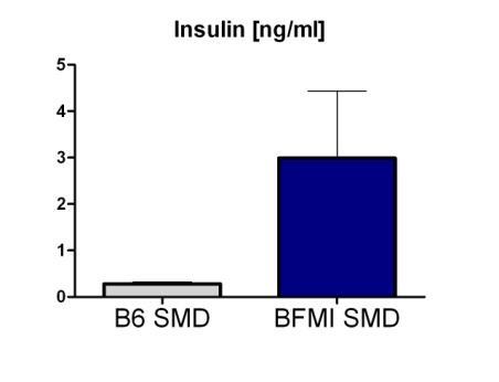 of insulin and high blood levels of IGF-1 BFMI * * BFMI B6 1: Wagener,