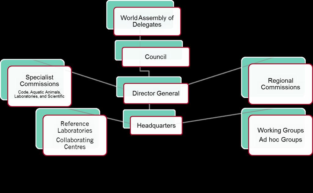 Governance structure of the