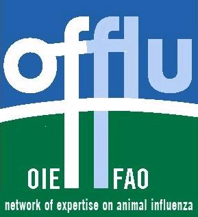 OFFLU Guidelines: Practical minimum biosafety requirements for handling avian influenza viruses in veterinary laboratories http://offlu.net/offlu%20site/biosafety.