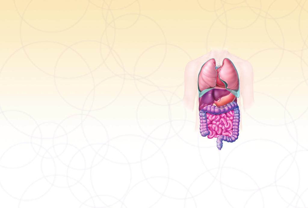 What is metastatic colorectal cancer (mcrc)? Understanding your digestive system As you learn about mcrc, it s helpful to know what your digestive system does and how the colon and rectum work.