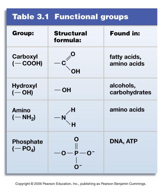 FuncFonal Groups Side chain molecules on carbon skeletons 5 major groups Confer special properties on organic (carbonbased) molecules.
