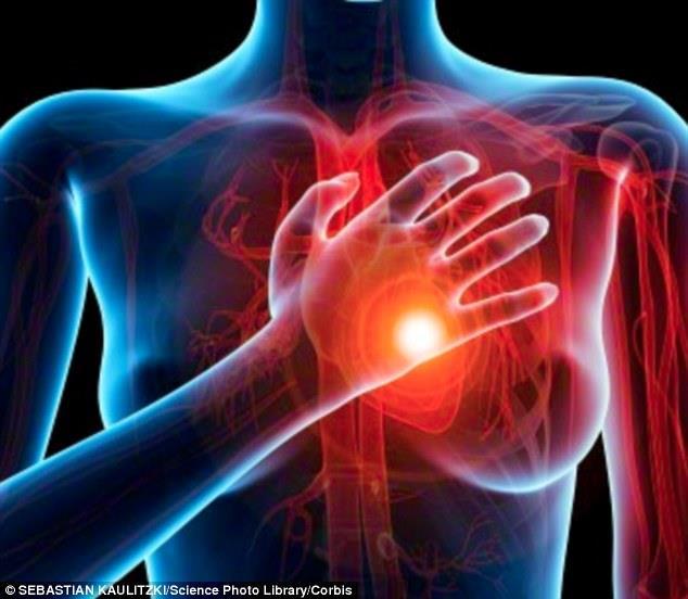 Angina, a symptom of coronary artery disease, is chest pain or discomfort that occurs when the heart muscle is not getting enough blood.