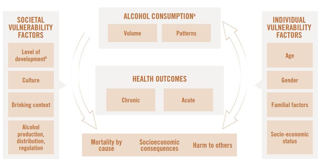 Conceptual causal model of alcohol consumption and health outcomes Societal Vulnerability factors Level of development Culture Drinking context Alcohol consumption Volume Pattern Health outcomes